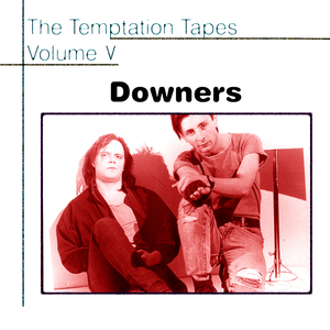 Two Bicycles in Summertime