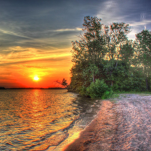 星夜难眠的梦语