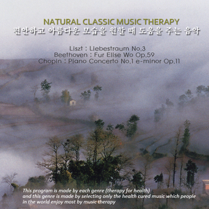 Flute and Harp Concerto in C major K299 2.Andantino 모차르트：플루트와 하프를 위한 협주곡C장조K299 제2악장 안단티노