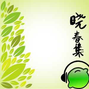 2010地球一小时宣传