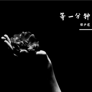 等一分钟-张少煌