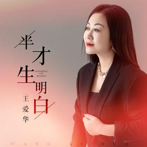 半生才明白 (DJLive合唱版）