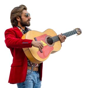 Un Gauo Gitano