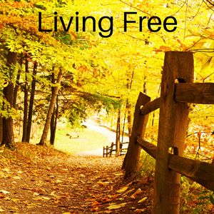 Night of the First Time