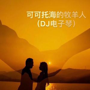 程宏-可可托海的牧羊人（DJ电子版）（司空翊烈 remix）