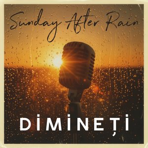 Dimineți