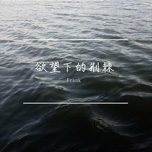 欲望下的荆棘