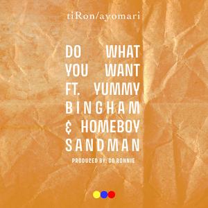 Do What You Want (feat. Yummy Bingham & Homeboy Sandman)