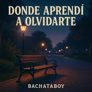 Donde Aprendí A Olvidarte