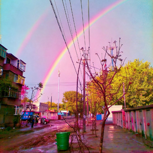 非励志音乐之路