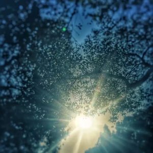 寂寞的季节（cover 陶喆）