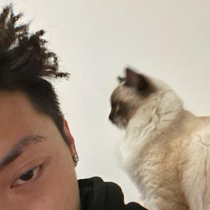 嘉州大盗