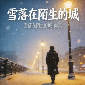 雪落在陌生的城