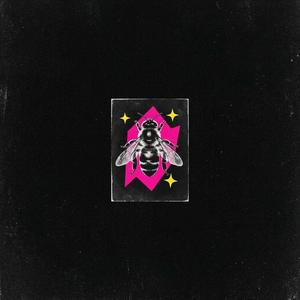 Journey bee want home