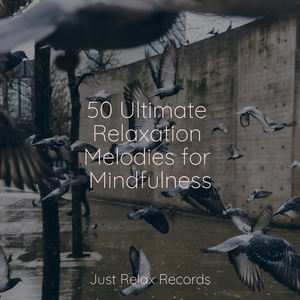 Lucid Aerial Odyssey