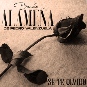 Se Te Olvidó