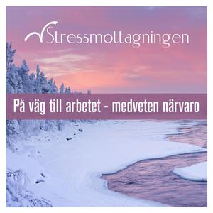 Medveten närvaro inför arbetsdagen, del 2