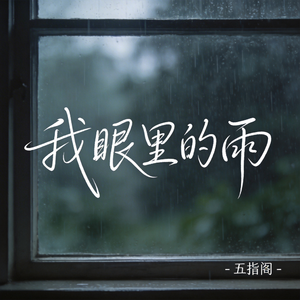 我眼里的雨（抖音热播版）