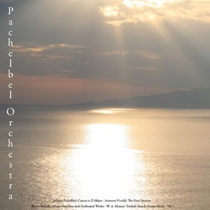 Concerto for Violin, Strings and Continuo in E Major, No. 1, Op. 8, Rv 269, la Primavera (Spring): III. Allegro