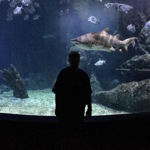 Z_Kerr-秋语Remix（Prod by K.Ray）（Z_Kerr remix）