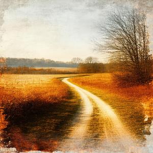 White Hair Longing’s Sigh