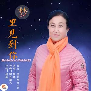 梦里见到你 (女声版)