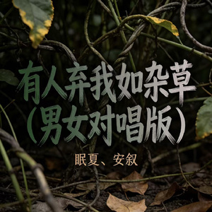 有人弃我如杂草（男女对唱版）