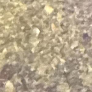 Do Or Die (feat. T Dot Go, KJ & Z Dot Go)