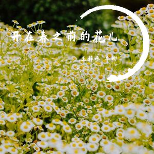 开在春之前的花儿