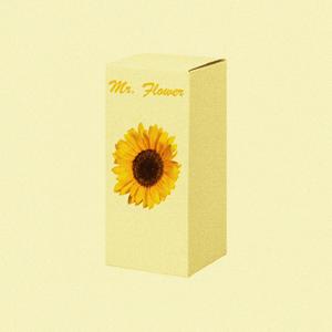 Mr. Flower