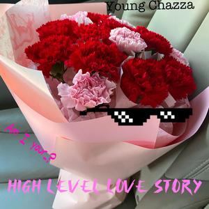 High Level Love Story