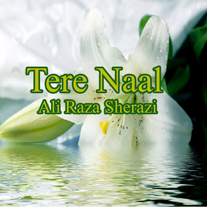 Tere Naal