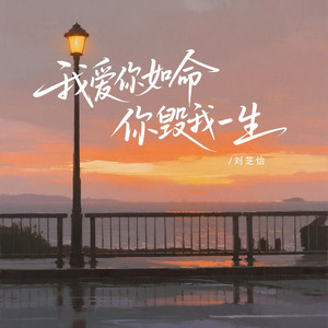 我爱你如命你毁我一生