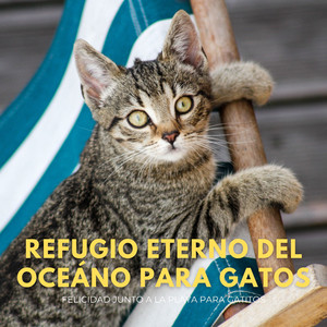 Eterno Gato En Refugio De Felicidad Oceánica