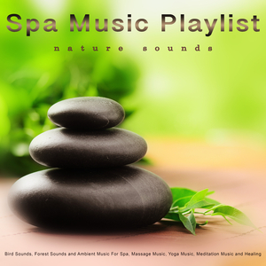 Spa Music Playlist