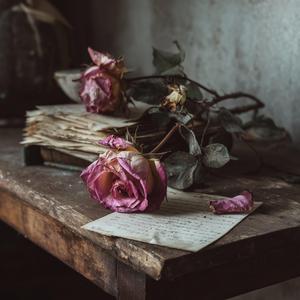 Некого винить