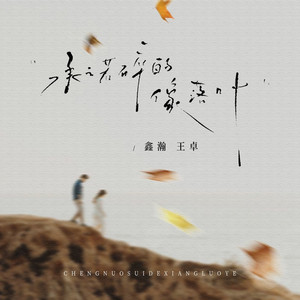 承诺碎的像落叶