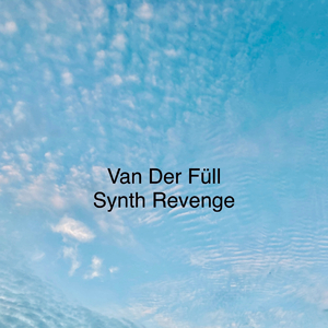 Synth Revenge