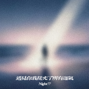 遇见你我花光了所有运气