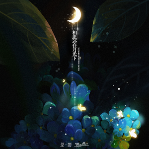 相思还在月光下（男声版）