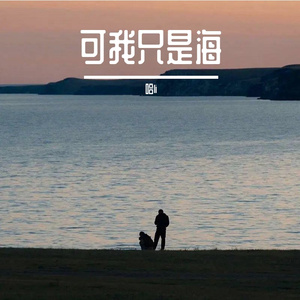 可我只是海