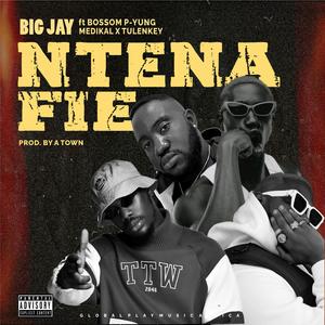 Ntena Fie (feat. Bosom P-Yung, Medikal & Tulenkey)