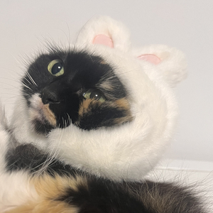 Still Standing in the Quiet