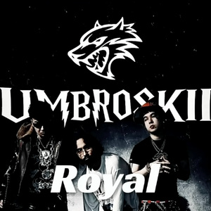 [不免费]--Royal--WG-*Brazilian Phonk*_Type Beat