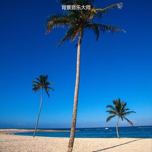 适合居家办公平衡的音乐