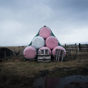 DOUVES (President Bongo Remix)