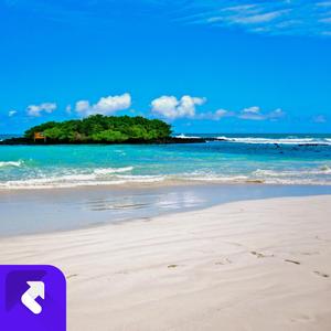 曾经的校园生活 (现场)