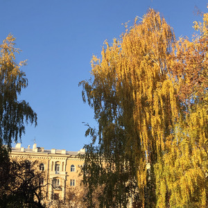 Прикоснуться к тебе