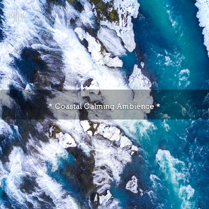 Birds Chirping And Water Sounds