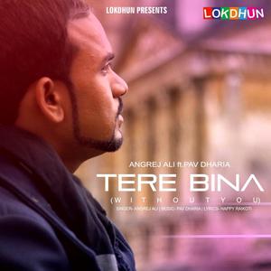 Tere Bina (feat. Pav Dharia)